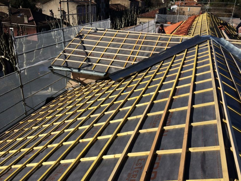 Rénovation de toiture Altitude Bois